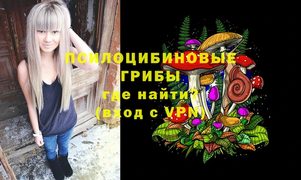 прущая мука Кулебаки