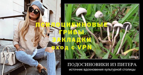 прущая мука Кулебаки